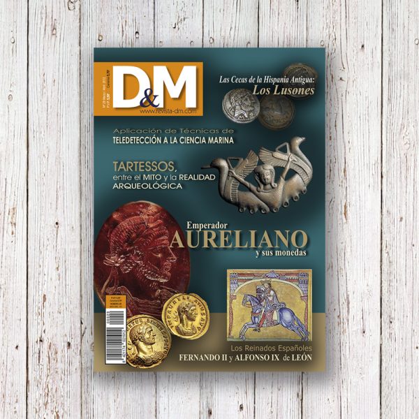 Revista DM 29