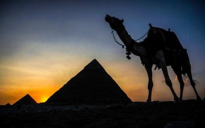 El guiso con el que lograban proteínas hace 4.500 años los constructores de las pirámides de Egipto