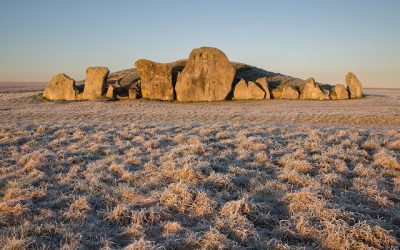 Divididas por el ADN: la difícil relación entre la arqueología y la genómica