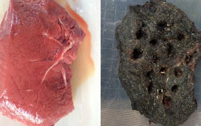 Una investigación analiza la pudrición de la carne para descifrar la dieta neandertal