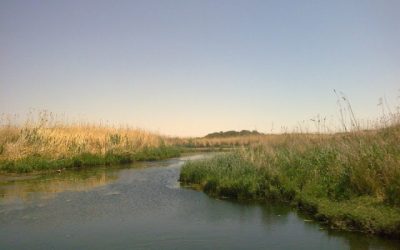 Excavaciones en las marismas de Azraq (Jordania) proporcionan pistas sobre cómo humanos ancestrales se adaptaron a su entorno