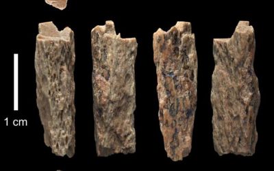 Las 20 noticias arqueológicas más sobresalientes acontecidas durante 2018 en Historia y Arqueología