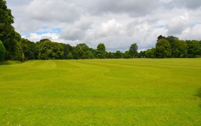 Apps indispensables para salir a detectar en el campo